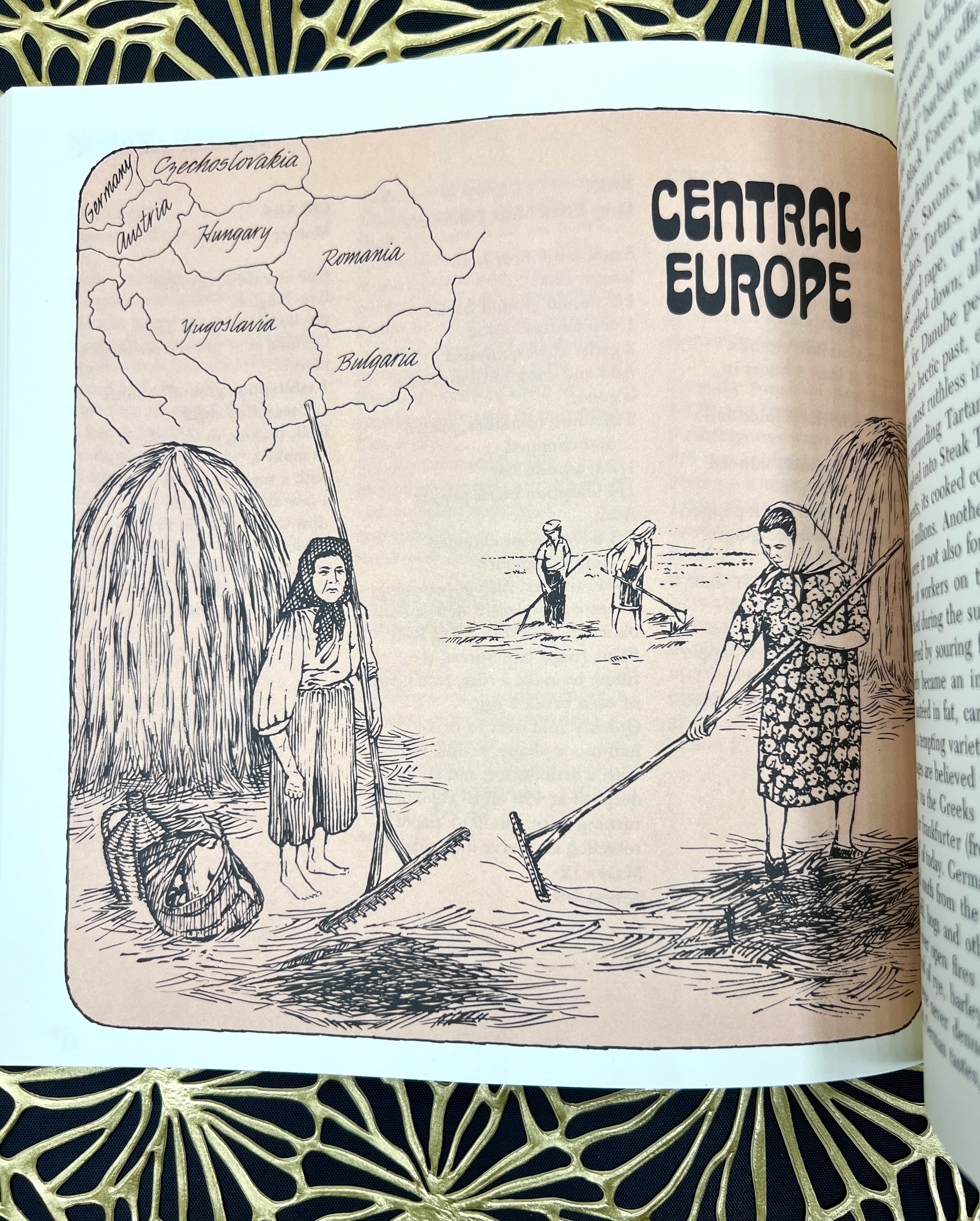 Country Cookery: Recipes of Many Lands