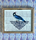 Framed Bluebird Print