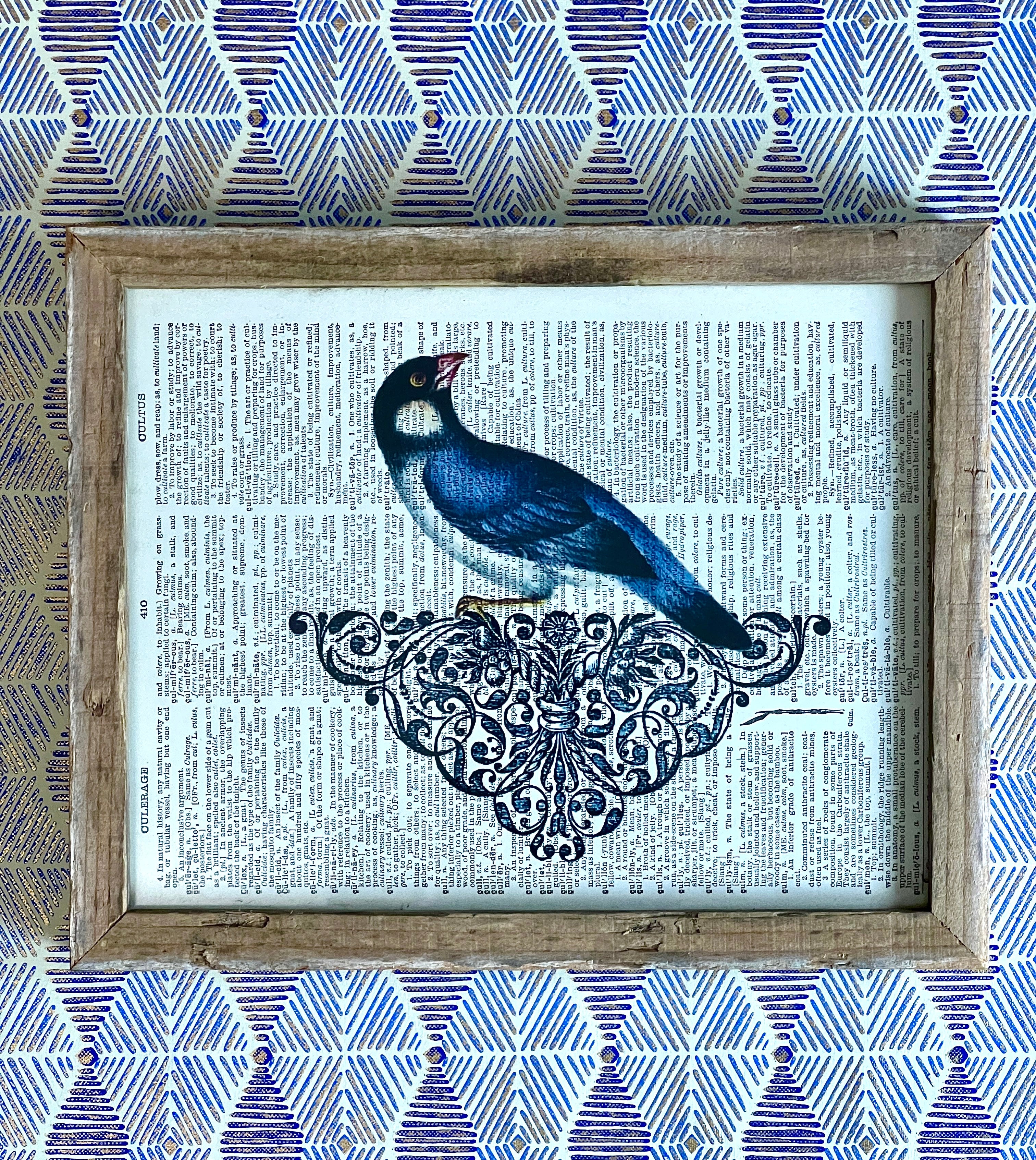 Framed Bluebird Print