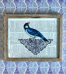 Bluebird Print