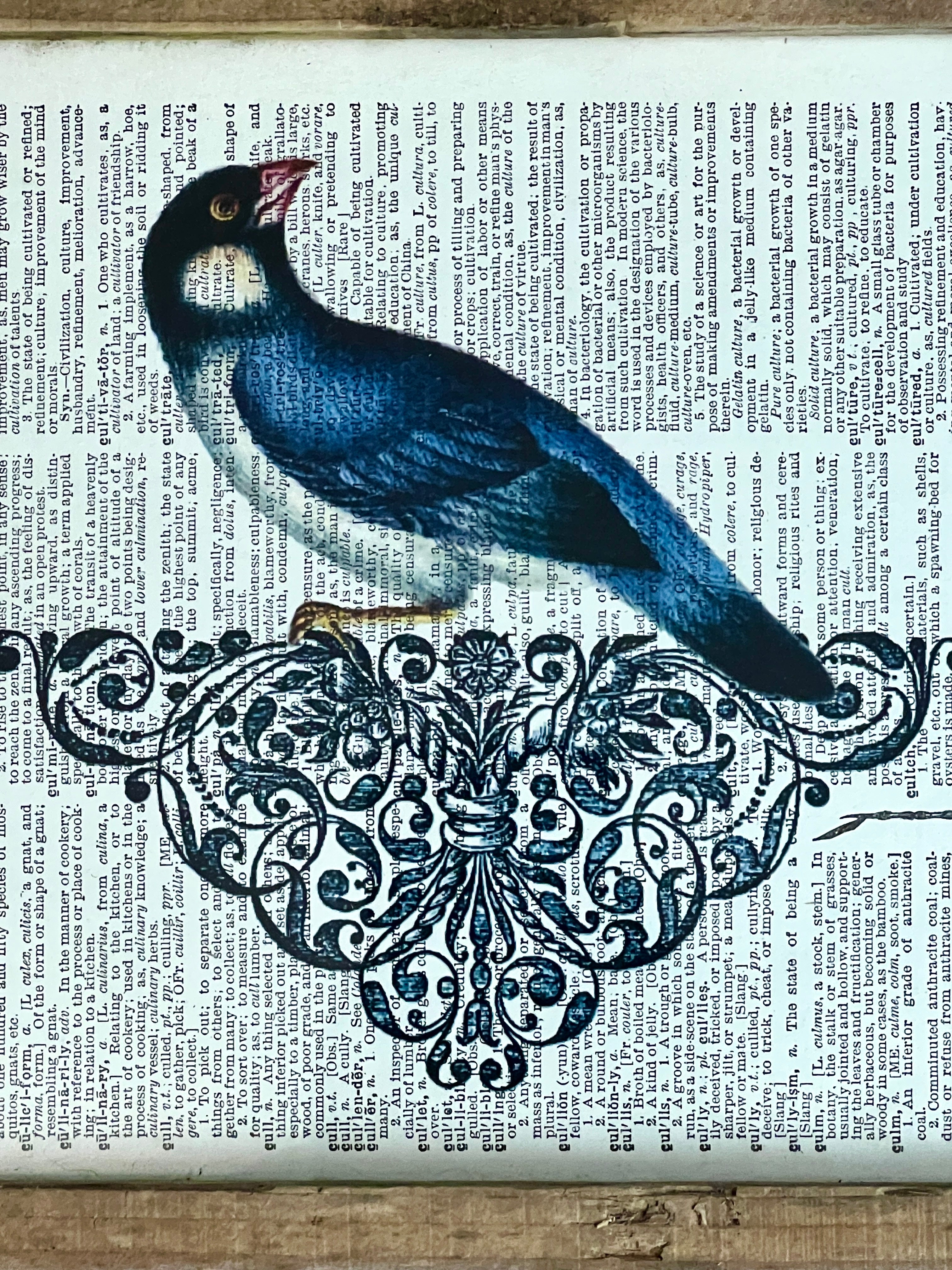 Framed Bluebird Print