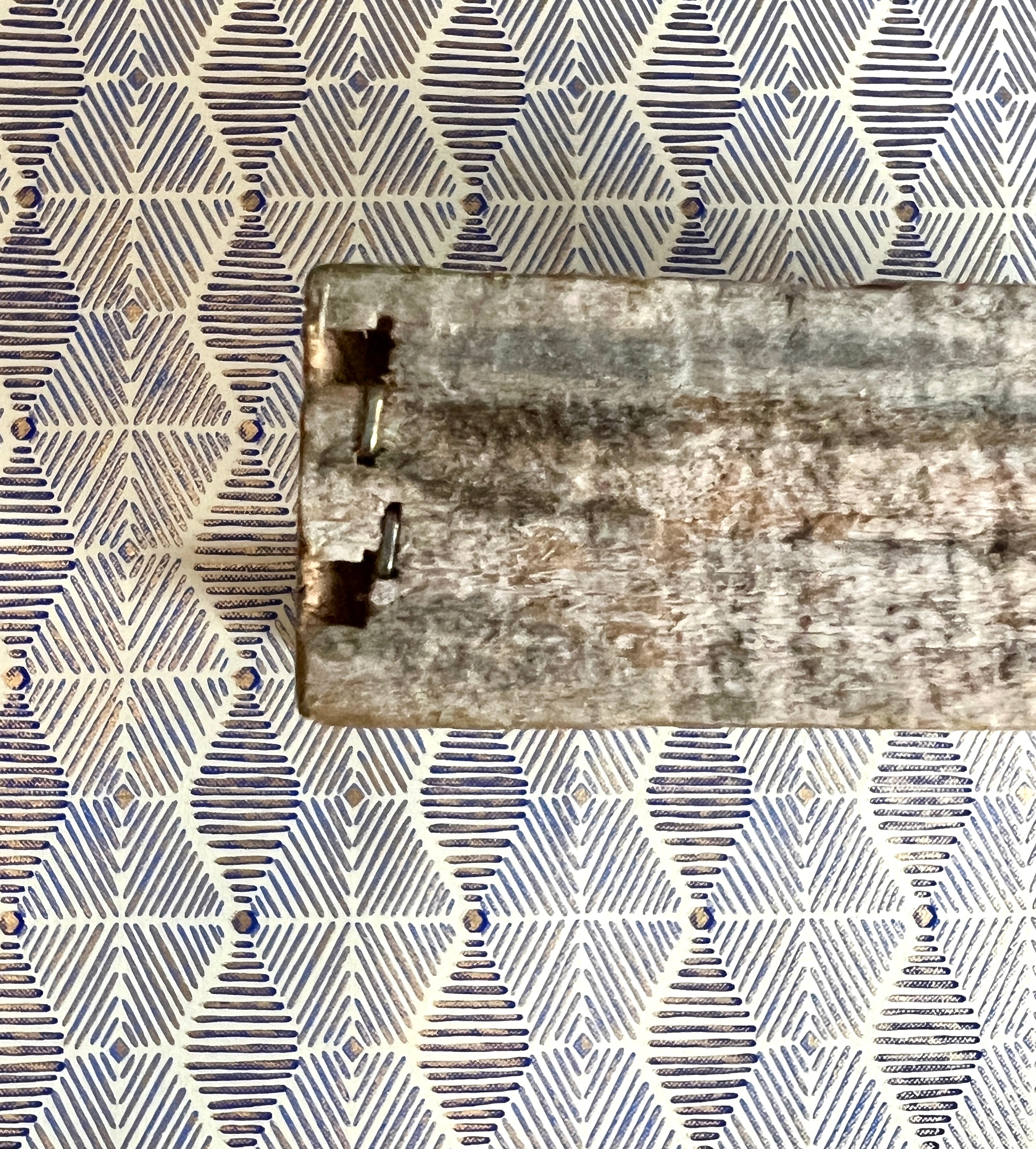 Framed Bluebird Print