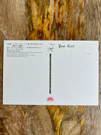 Japanese Postcard Art, Artist Yōshū Chikanobu (Toyohara Chikanobu, 19th C.) Miyogisha Shrine; Kameido