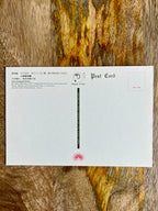 Japanese Postcard Art; Artist Yōshū Chikanobu (Toyohara Chikanobu, 19th C.)Ueno Zoological Garden