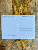 Postcard Art: Seated Portrait ; Green Pattern Silk Dress