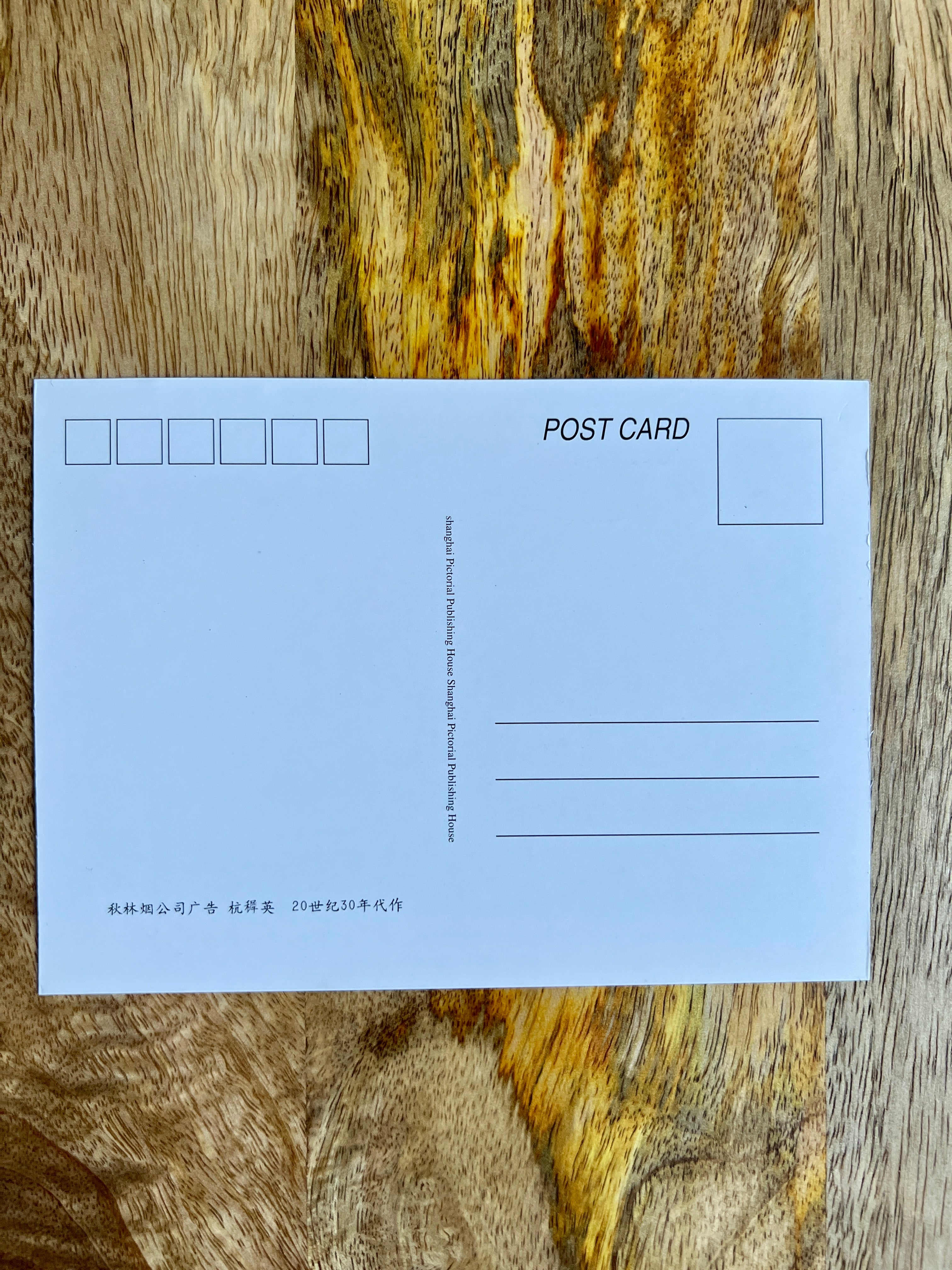 Postcard Art: Seated Portrait ; Green Pattern Silk Dress