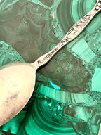 Joseph Mayer & Bros. Sterling Silver Demitasse Souvenir Spoon ("Los Angeles") Ostrich