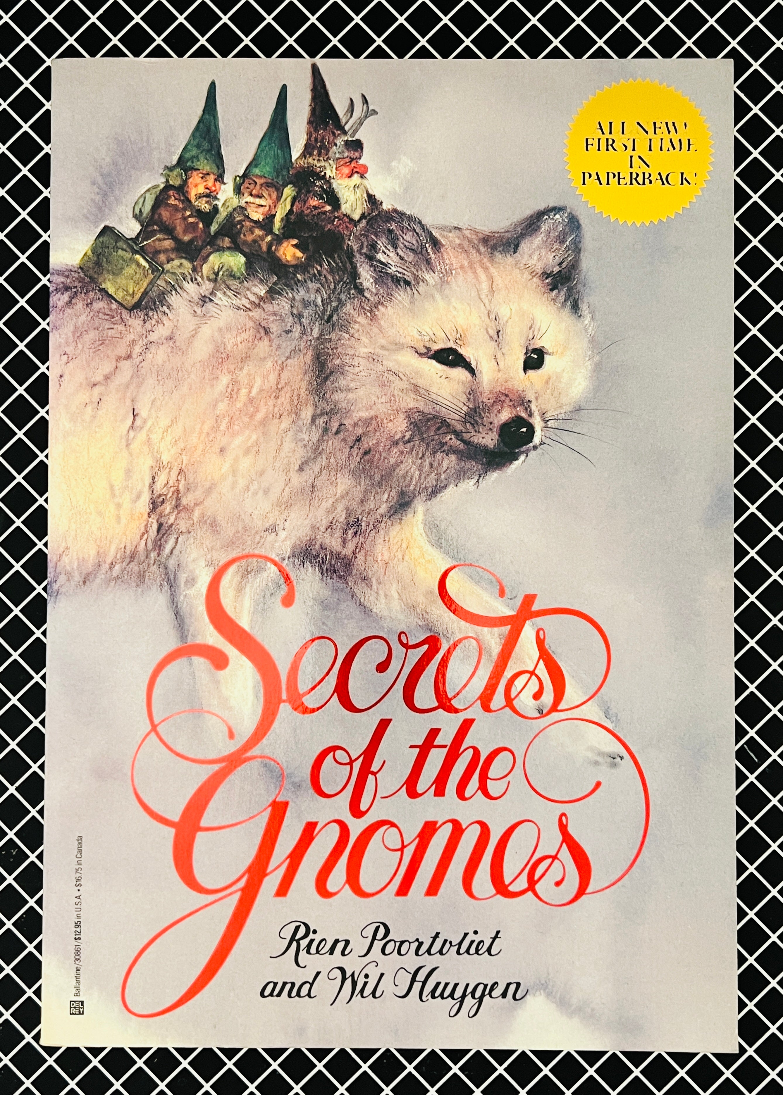 Secrets of the Gnomes (1984)
