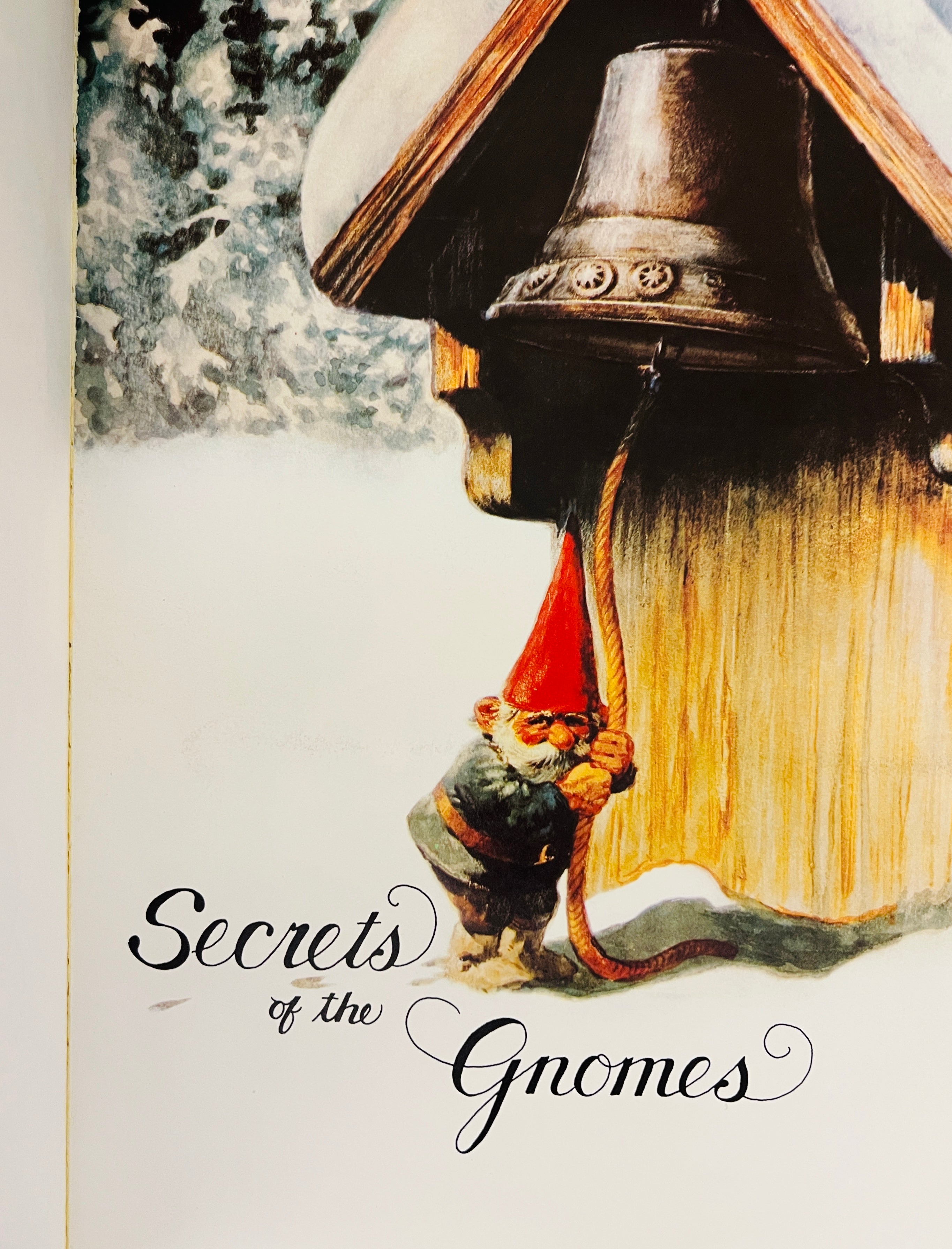 Secrets of the Gnomes (1984)