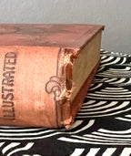 Antique Book; Roosevelt's African Trip (1909)