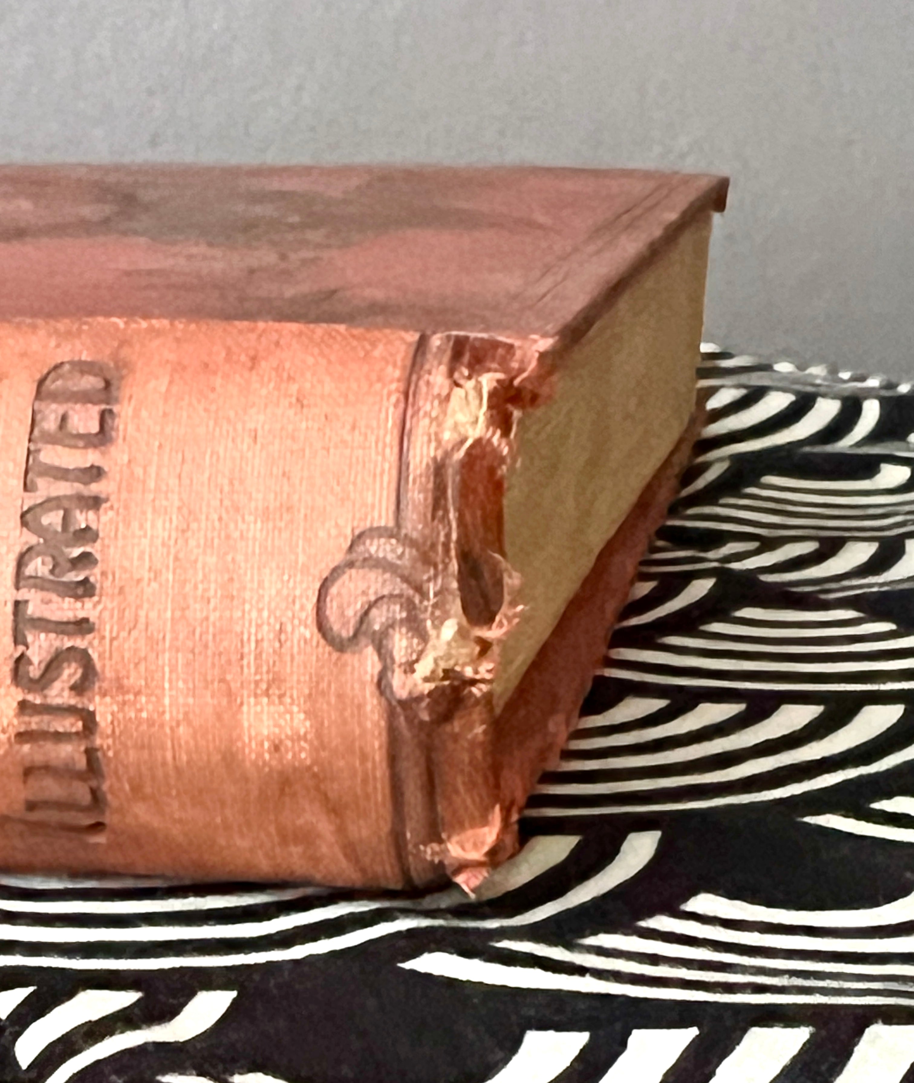 Antique Book; Roosevelt's African Trip (1909)