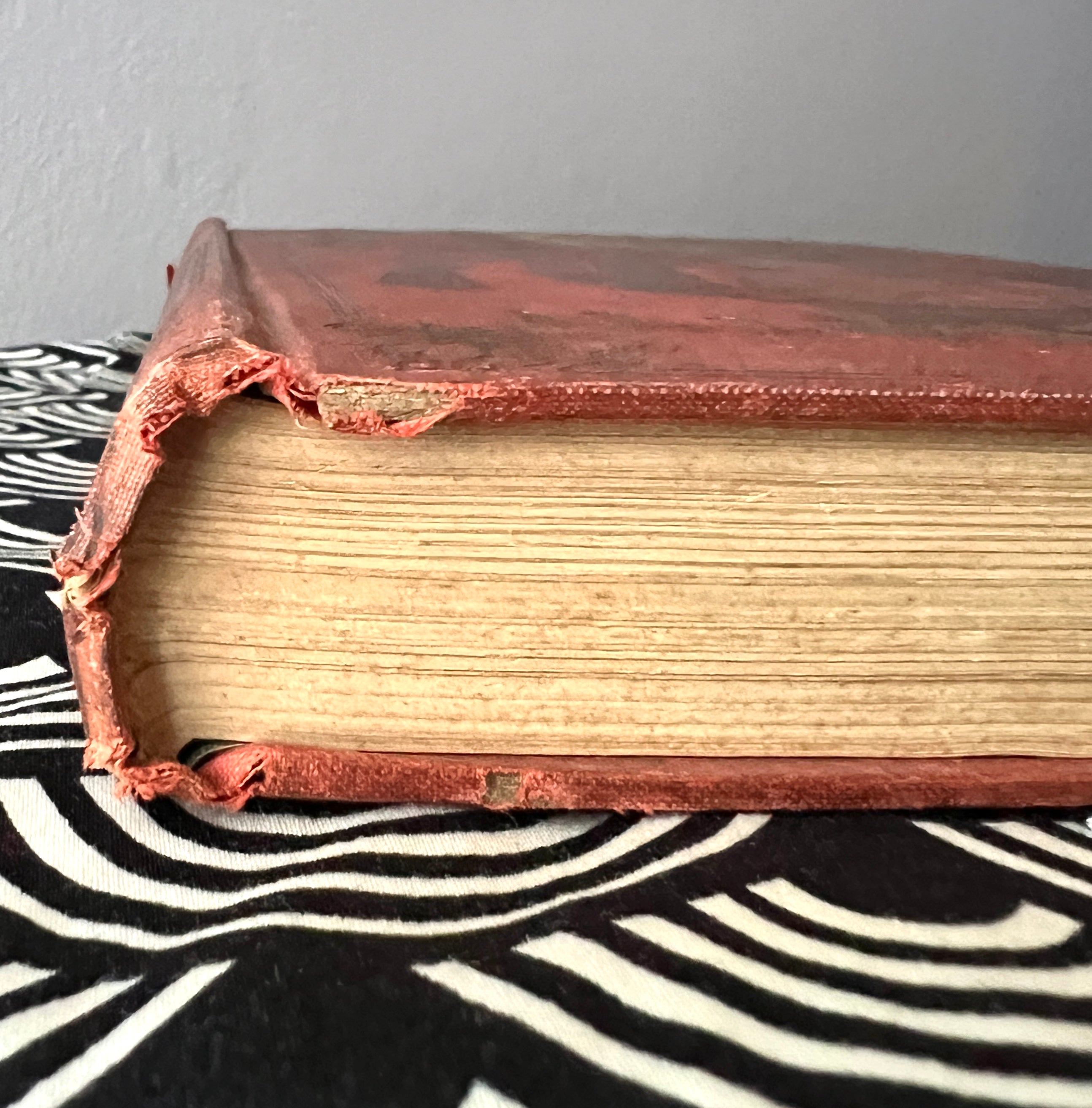 Antique Book; Roosevelt's African Trip (1909)