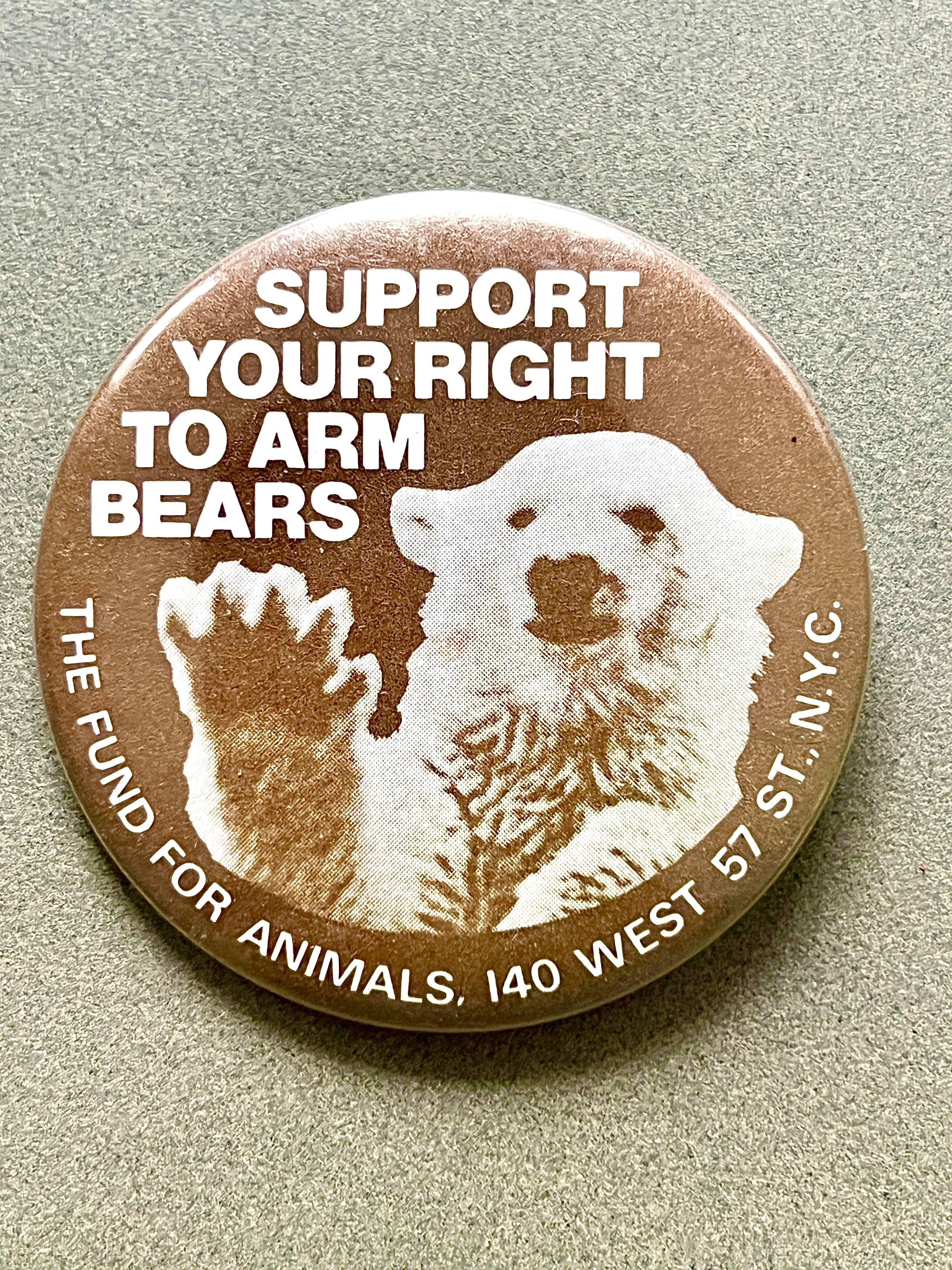 Support Your Right to Arm Bears Pinback Button