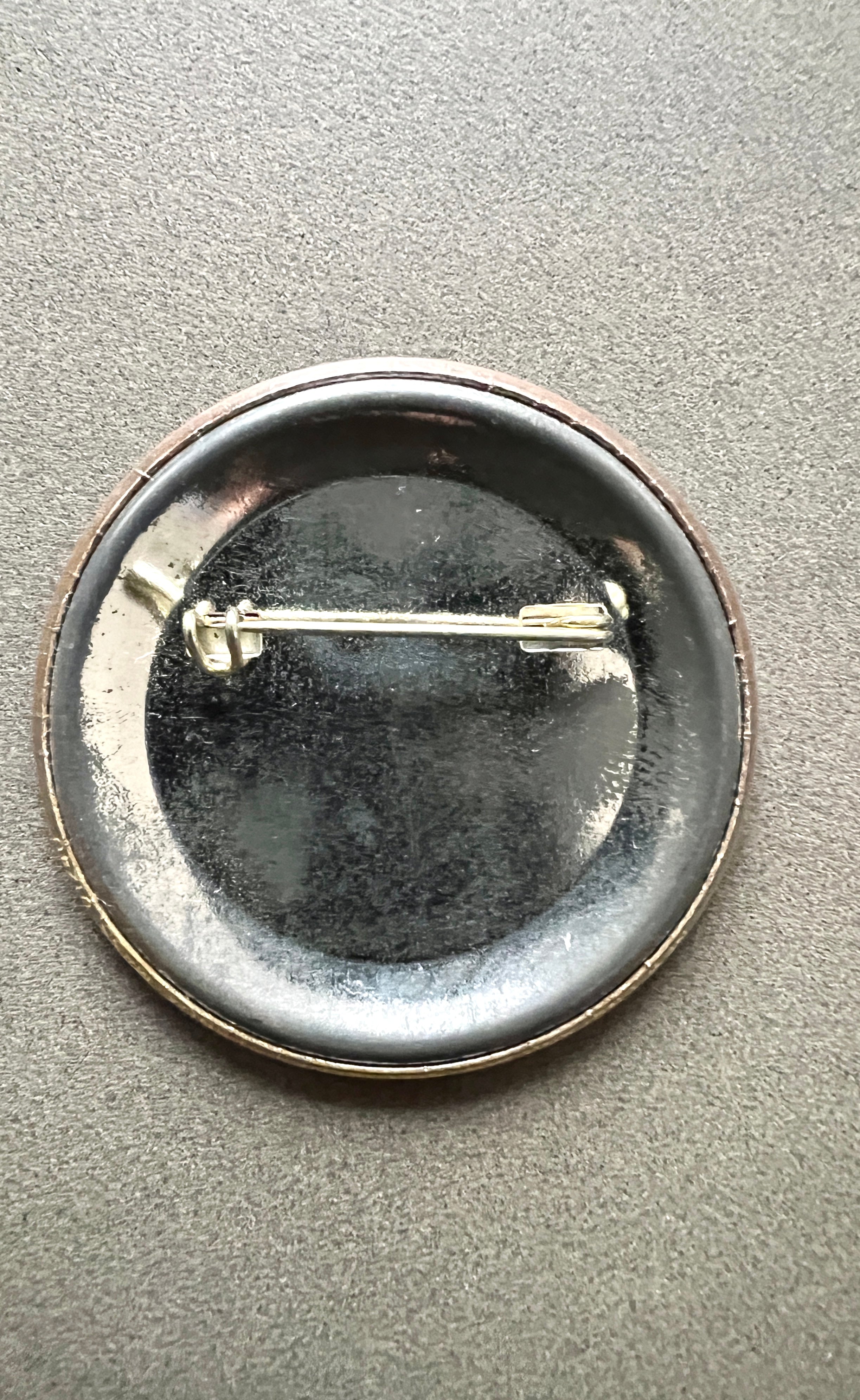 Support Your Right to Arm Bears Pinback Button