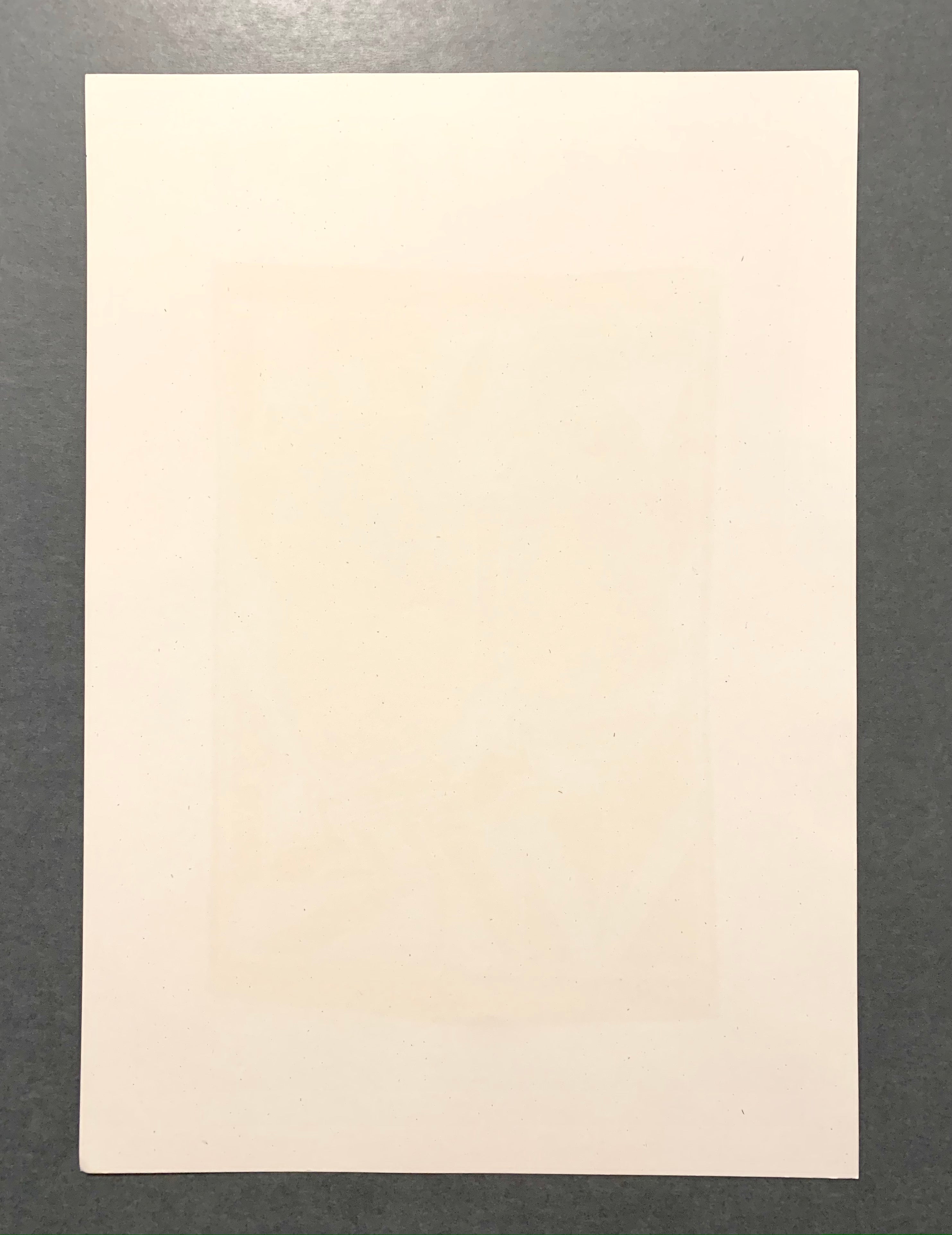 Vintage Poster Art "Zoofest 95; Australia "The Wonder Down Under"