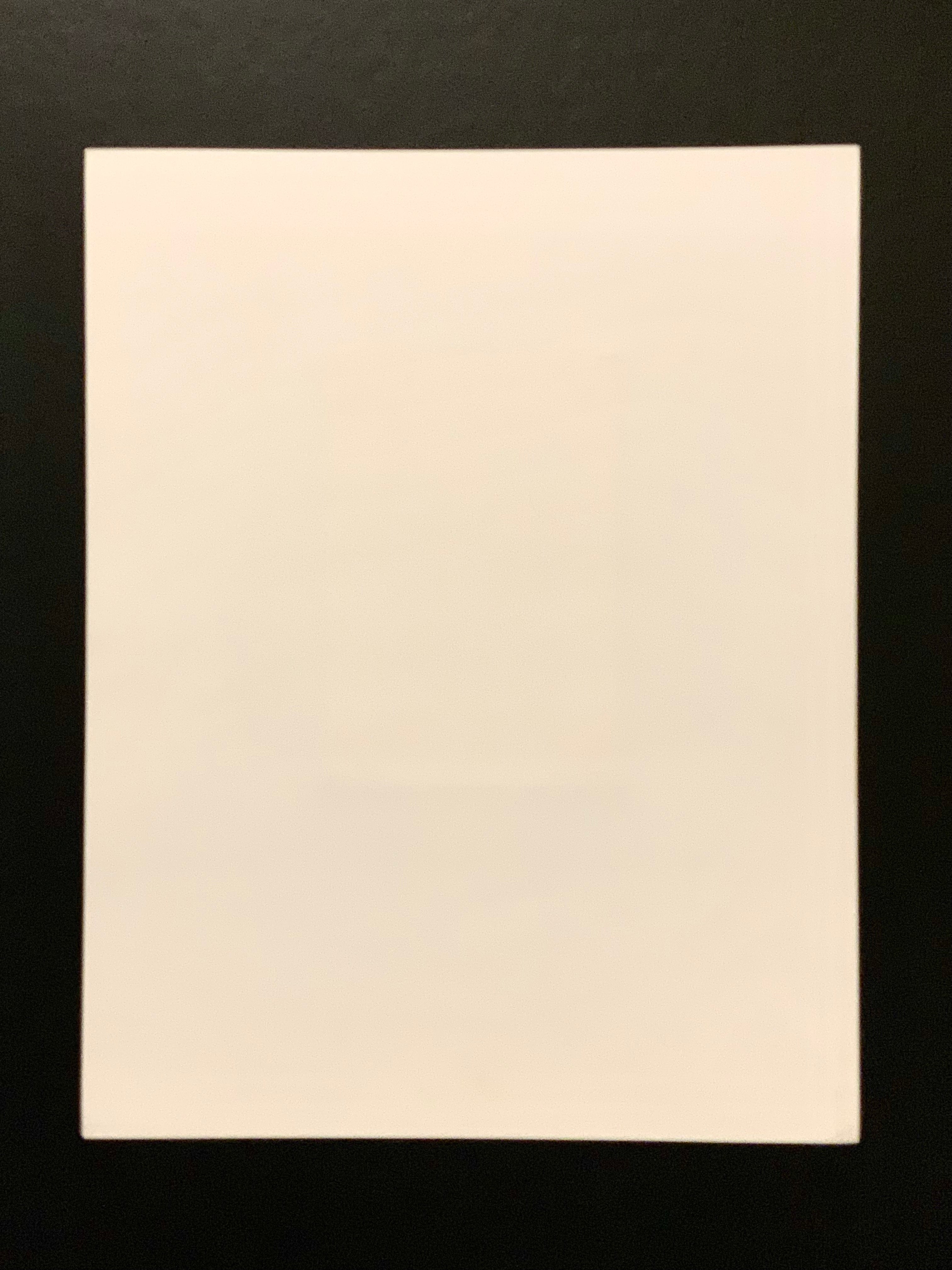 Signed Photograph; C. McConnell "Portrait Holding a Portrait"