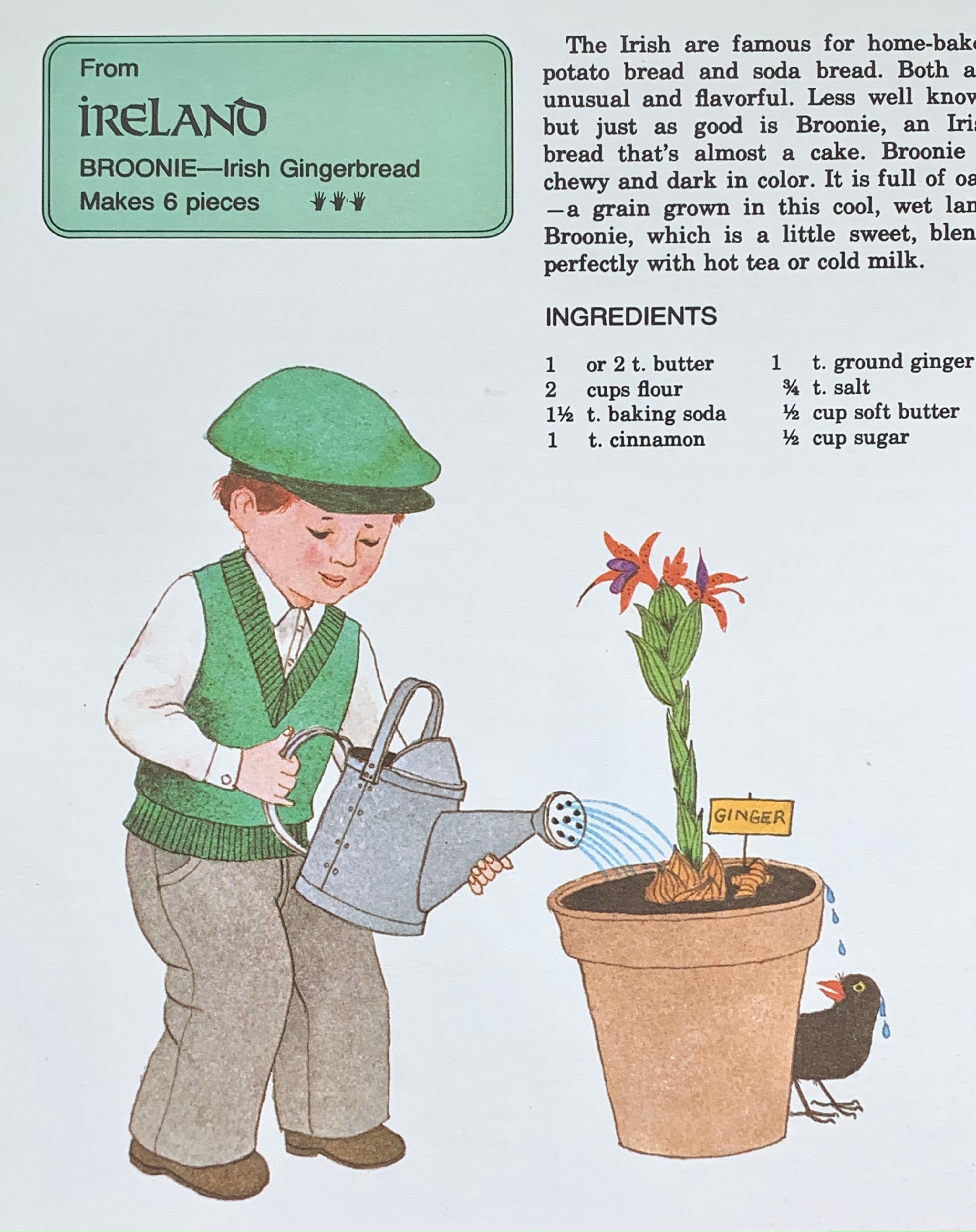 Many Hands Cooking International Cookbook for Girls and Boys Illustrated by Tony Chen