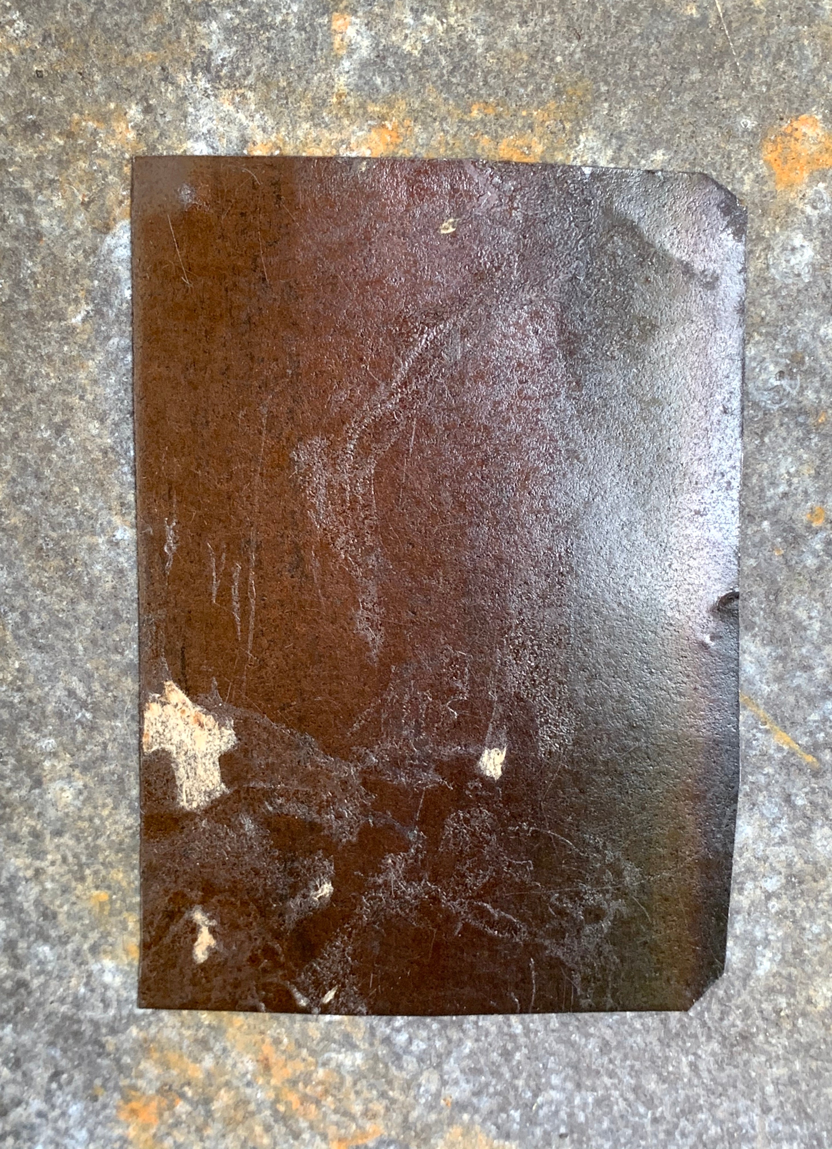 Tintype 1/6 Plate Vintage Photograph Portrait of Woman