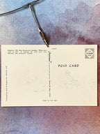 Vintage Postcard Pink Station Wagon Magnetic Hill New Brunswick Canada