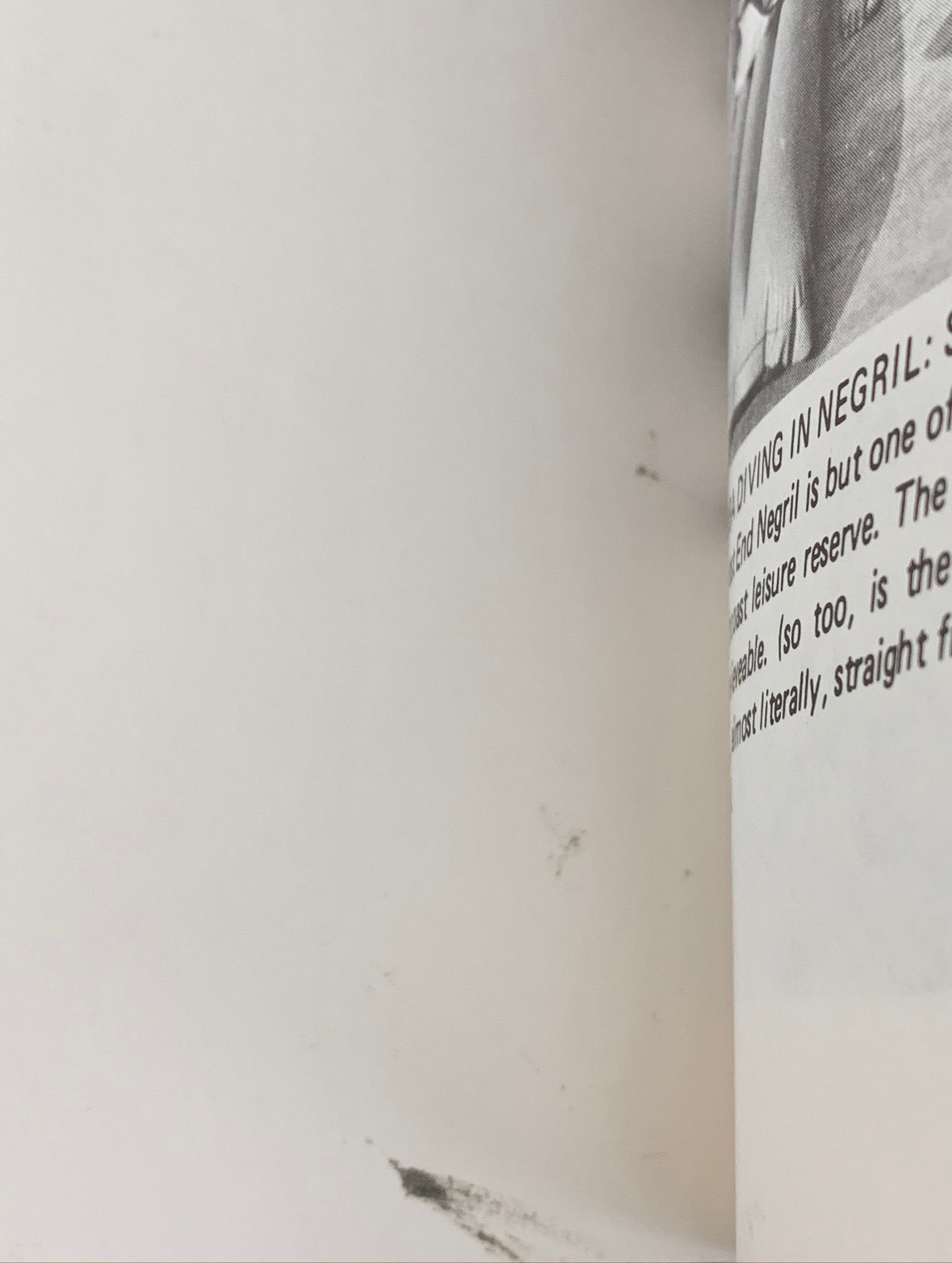 A Merry Go Round of Recipes From Jamaica by Leila Brandon | Caribbean Cooking