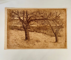E.T Hurley Etching on Paper 1901 Scenic Landscape Trees Cincinnati Ohio Printmaker