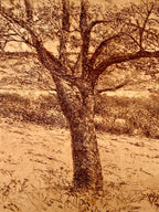 E.T Hurley Etching on Paper 1901