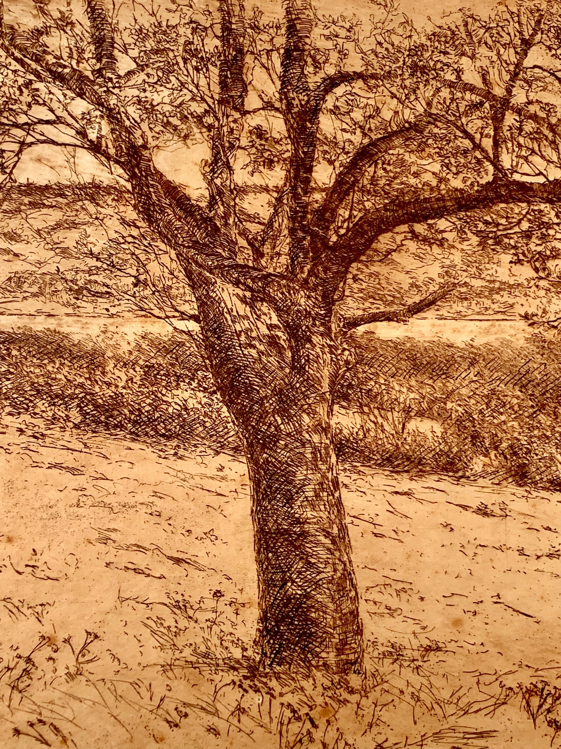 E.T Hurley Etching on Paper 1901