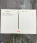 Japanese Postcard Art; Artist Yōshū Chikanobu (Toyohara Chikanobu) Ukiyo-e , Bensaiten Shrine Shinobazu Pond Ueno